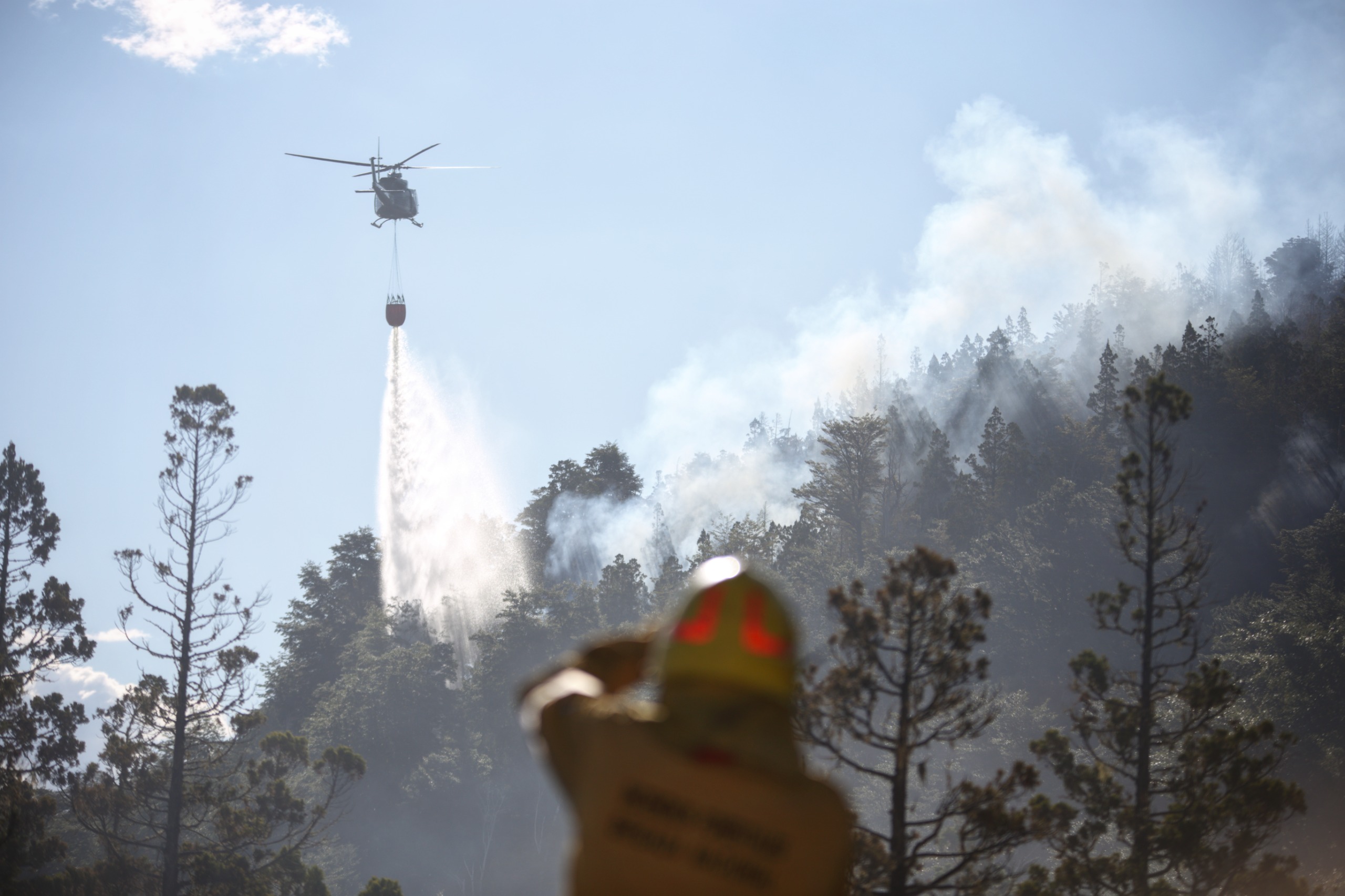 Ambiente trabaja en el control del incendio forestal en el Parque Nacional Los Alerces