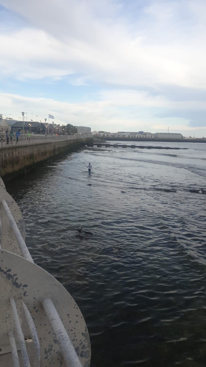 Hombre queda atrapado en escollera de Comodoro tras buscar su reloj