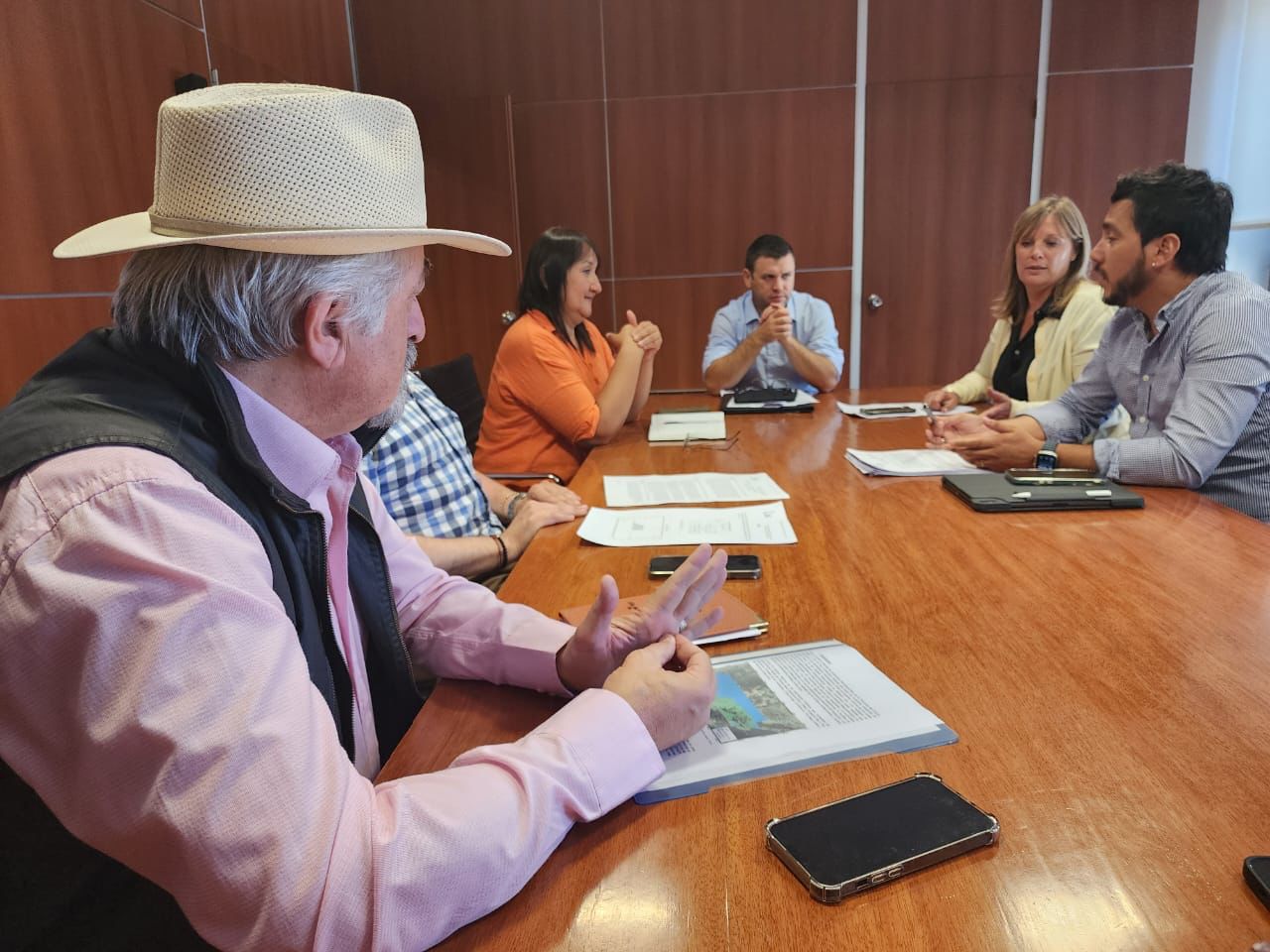 Macharashvili se reunió con diputados por la Ley de Promoción Hidrocarburífera