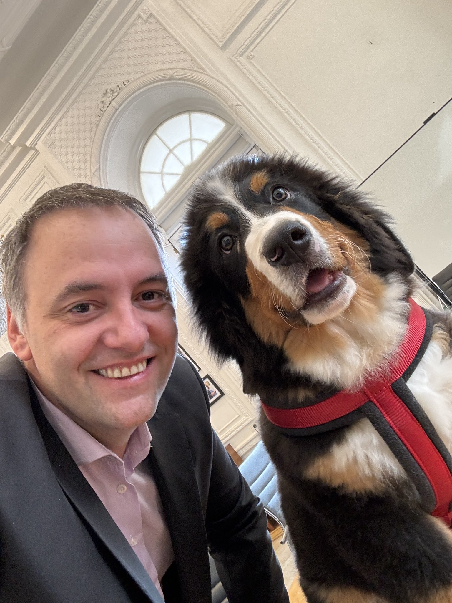 Un perro en la Rosada, Milei dice que no la vemos y las PyMEs en emergencia