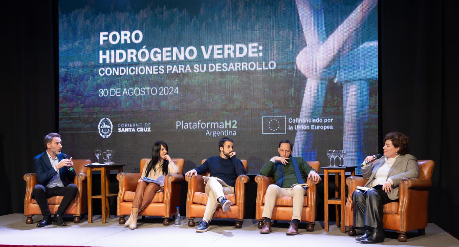 Hidrógeno Verde: “Competimos con el mundo, pero tenemos con qué”