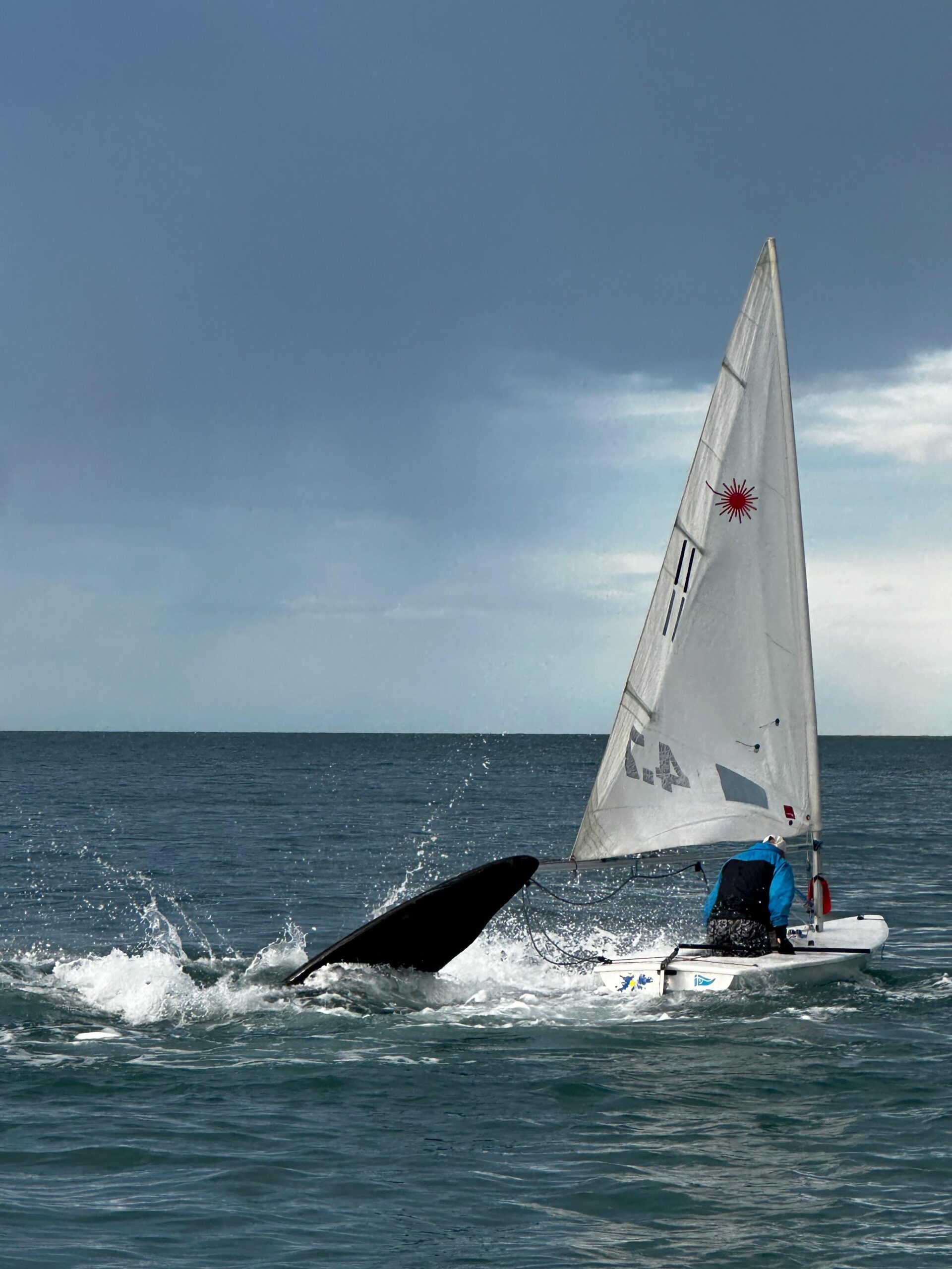 Avistamiento de Ballenas en las costas de Comodoro Rivadavia