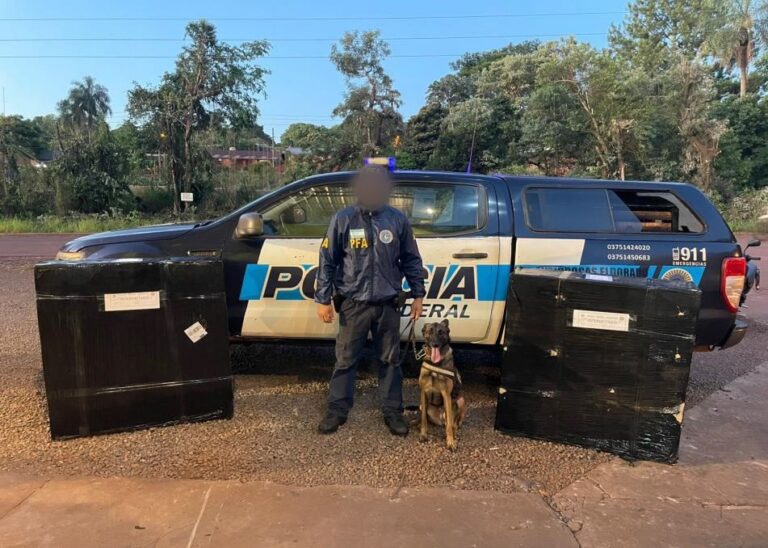 La Policía Federal Argentina secuestró marihuana oculta en encomiendas en Misiones