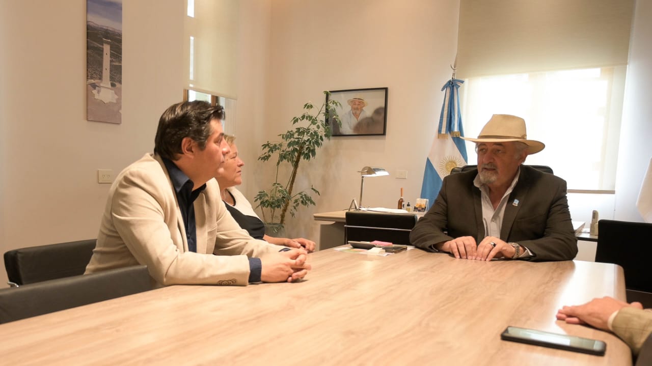 Macharashvili se reunió con el decano de la Facultad de Ciencias Económicas de la universidad 