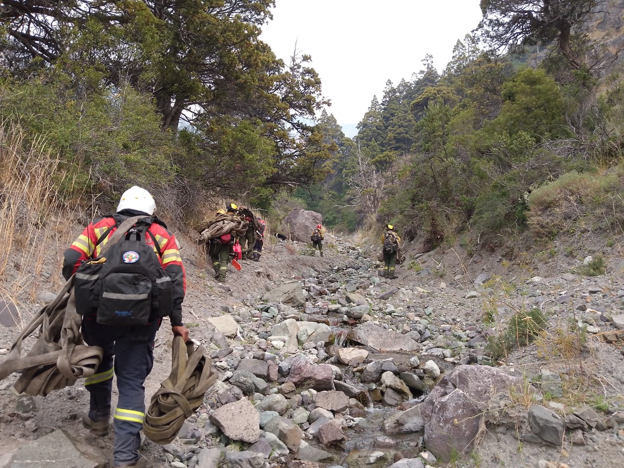 Cerca de 100 personas y medios aéreos intervienen en el operativo para sofocar el incendio forestal en la zona de Trevelin