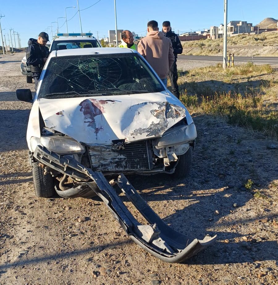 Chocó contra una palma de luz y se dio a la fuga