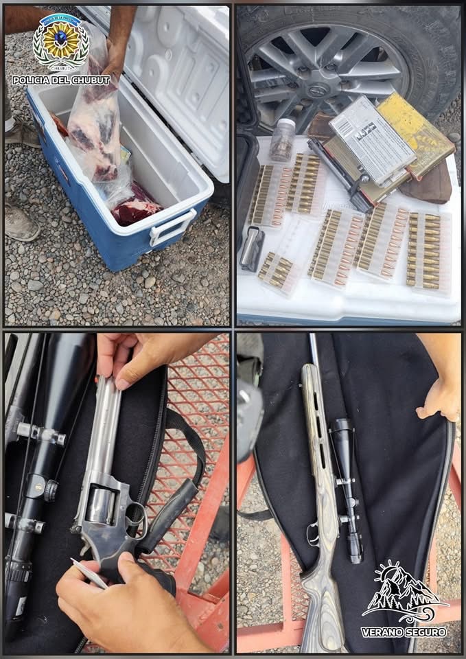 Secuestran armas y carne de guanaco en control preventivo