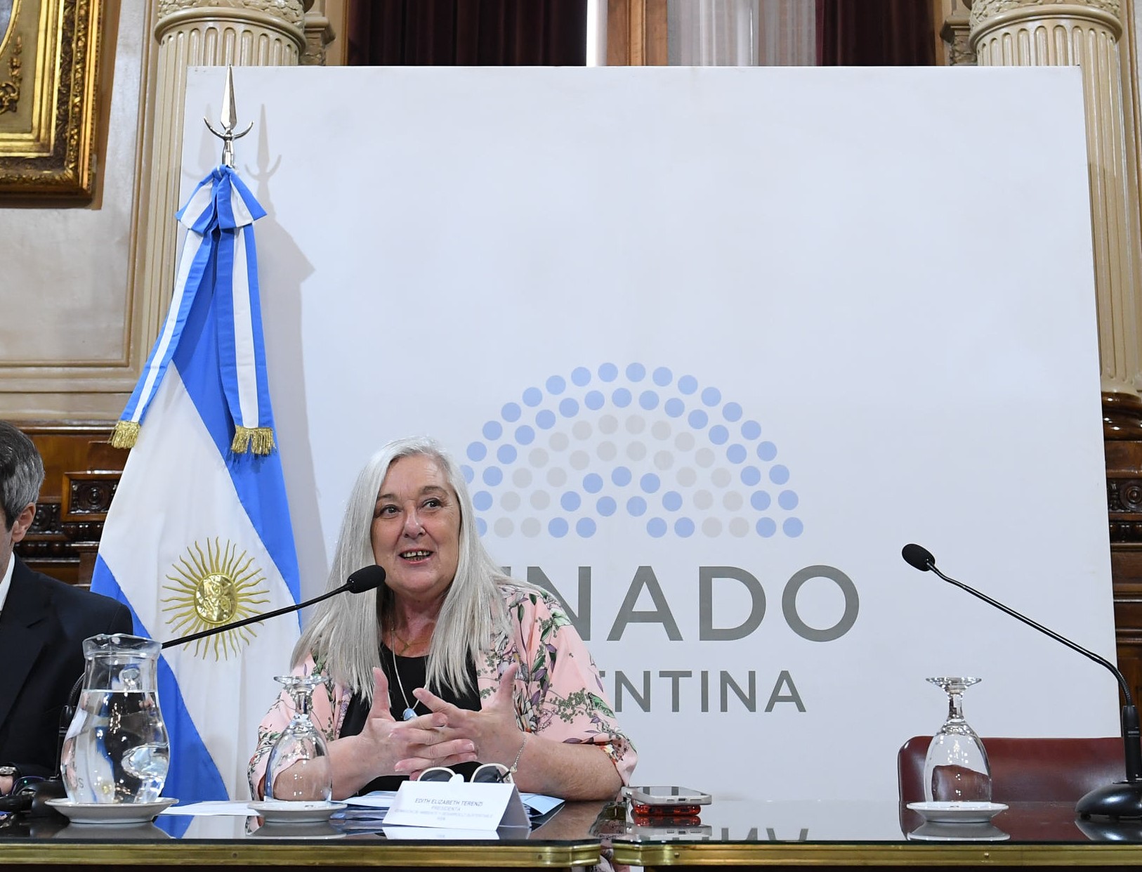 Terenzi en una comisión clave para Chubut