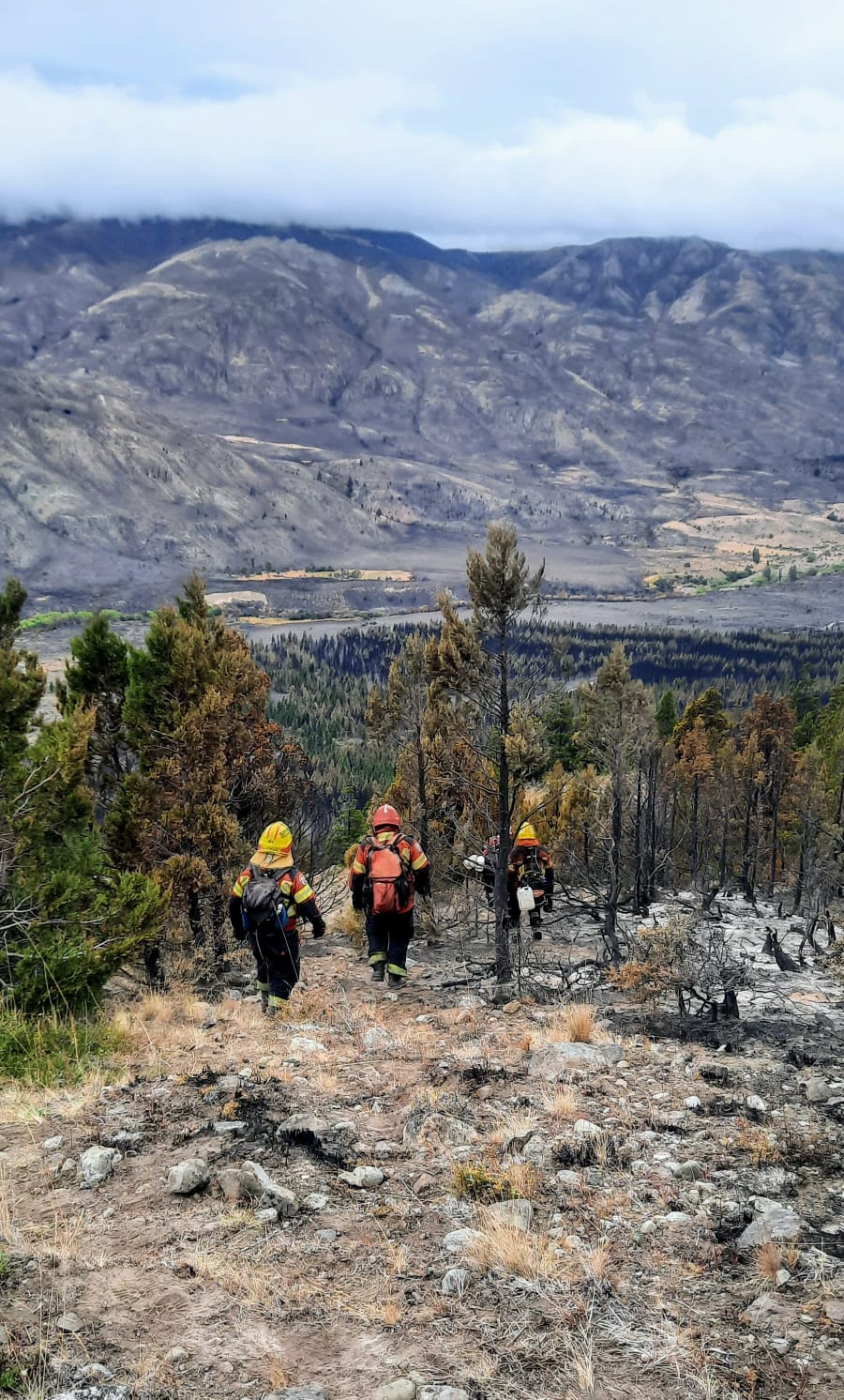 Lograron contener el incendio forestal iniciado en la zona de Trevelin