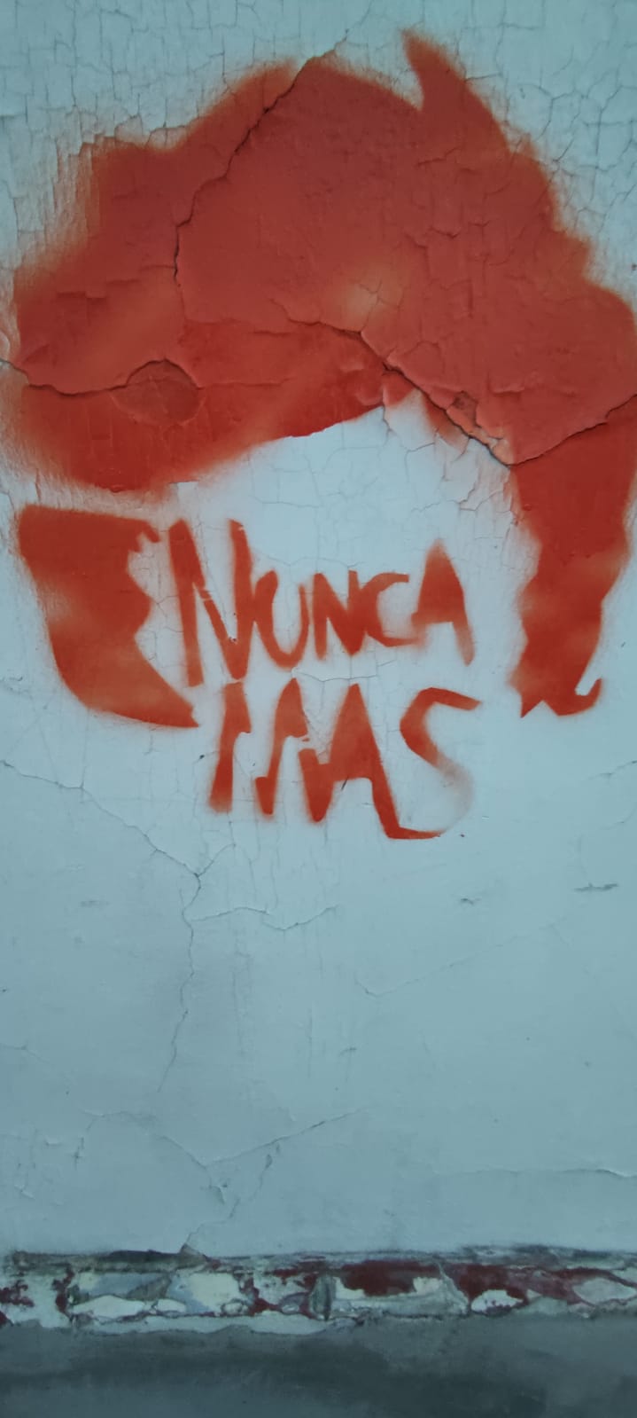 Multitudinario 24 M, lo que costó el video de Laje y denuncia contra Reidel