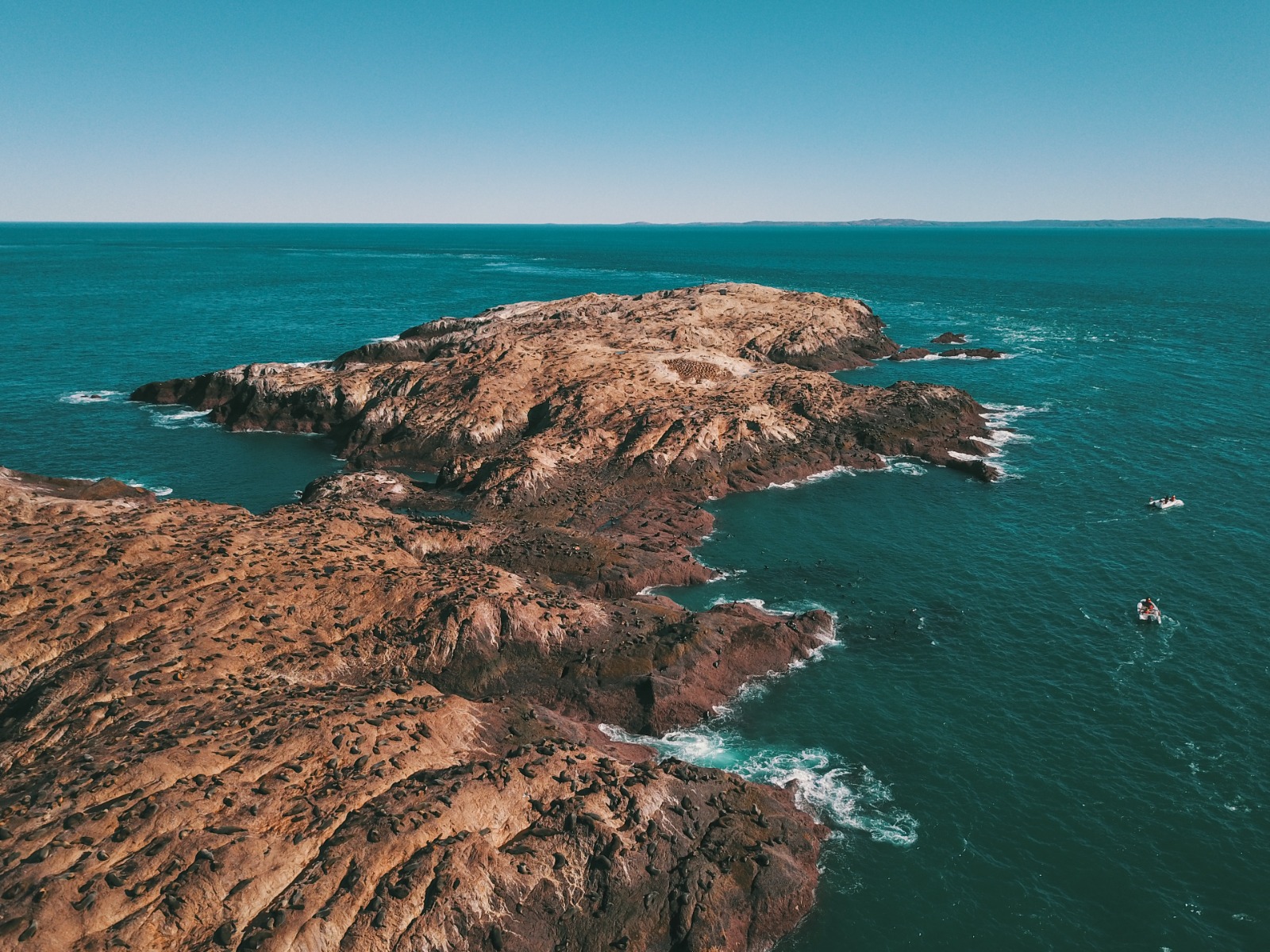 Chubut tiene una nueva Área Natural Protegida: el Parque Provincial Patagonia Azul