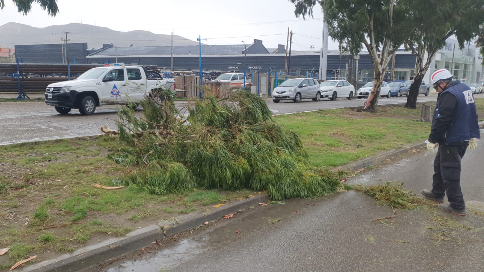 La ráfaga más fuerte: 119 km/h a las 7:49 sacudió la ciudad y encendió las alertas