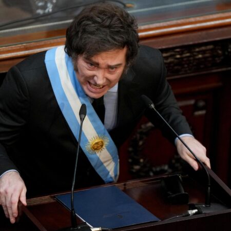 Un escrutinio sobre la gestión de Milei
