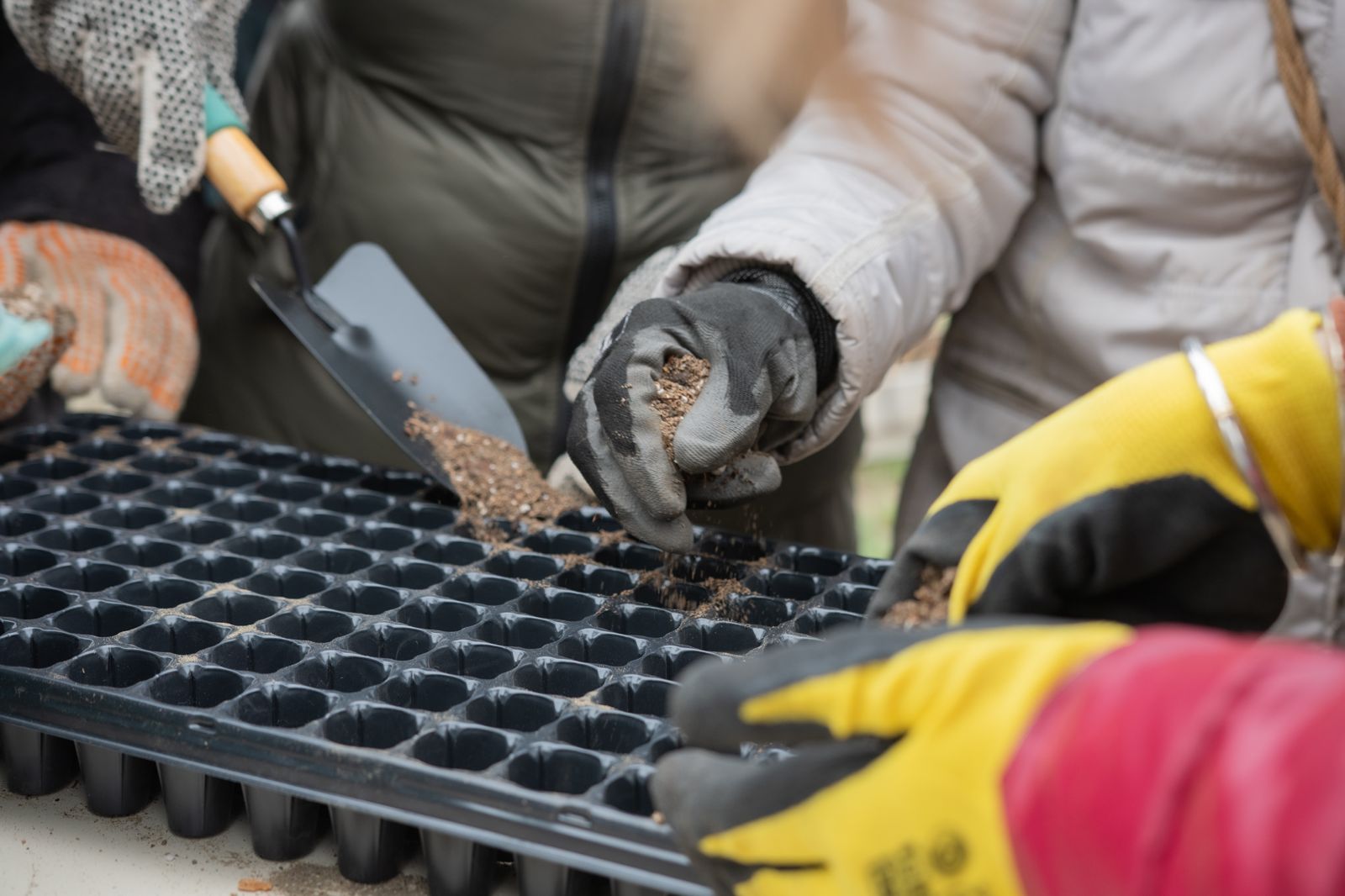 Rada Tilly avanza en el proyecto del Centro Agroecológico