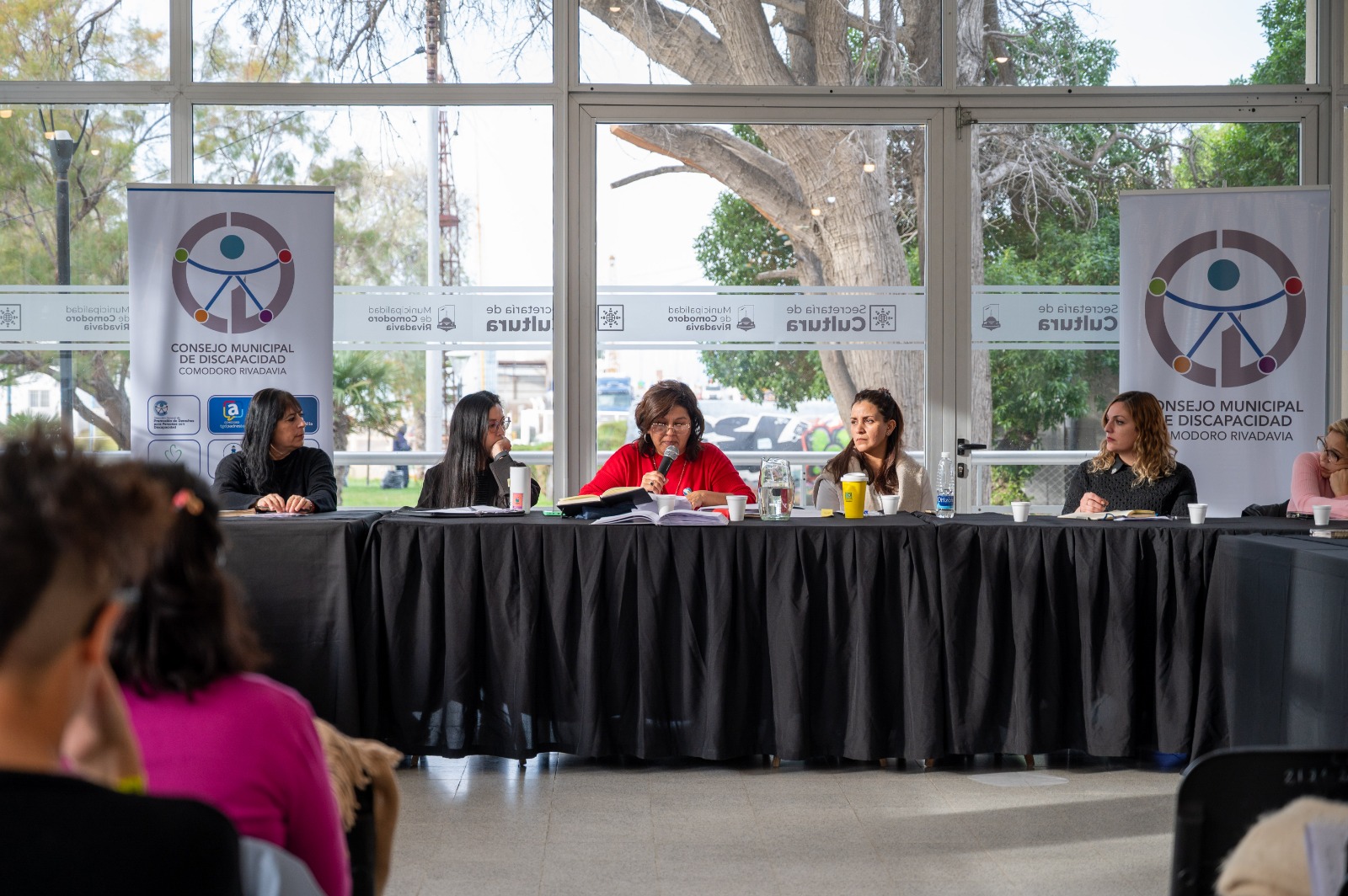 Se concretó un nuevo encuentro del Consejo Municipal de Discapacidad