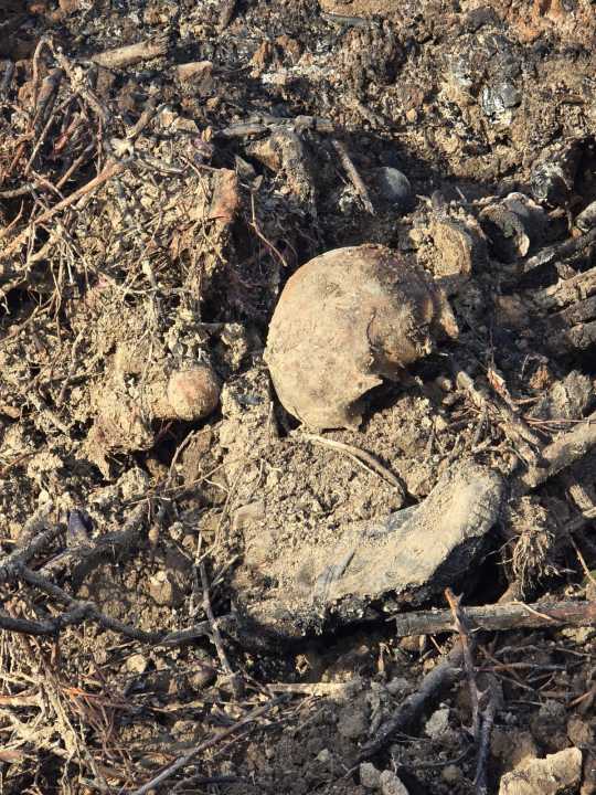 Fiscalía investiga a quién pertenecen los restos humanos encontrados en Epuyén