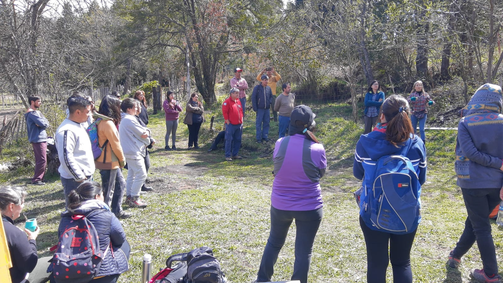 Chubut fortalece la educación ambiental con capacitación docente sobre bosques patagónicos