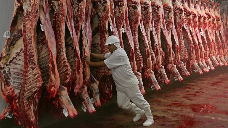 Carne con hueso: productores patagónicos van a la Justicia para frenar la flexibilización sanitaria
