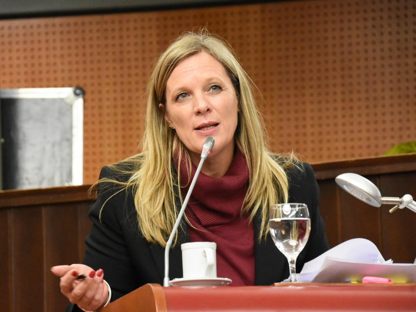 La Legislatura aprobó por unanimidad el repudio a las declaraciones del designado embajador de EEUU en Argentina