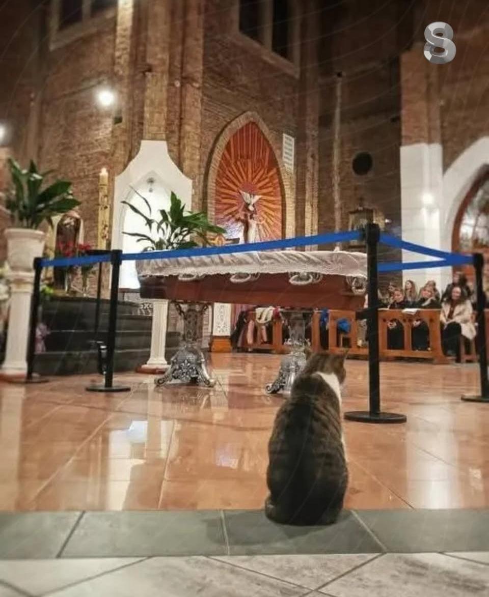 Falleció el padre Carlos Calzado y su gato Pascual lo despidió en la catedral