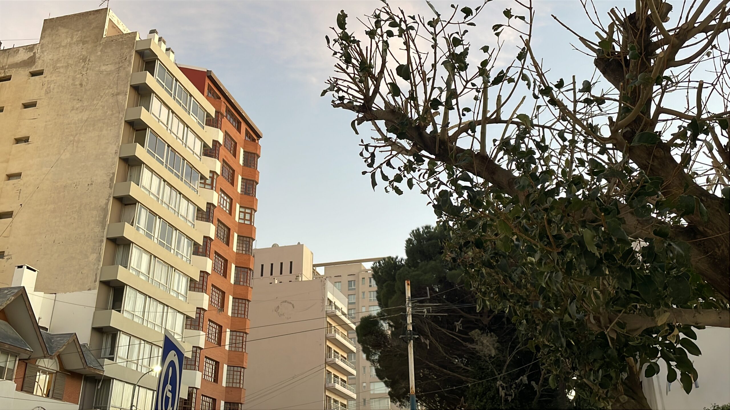 Jueves con cielo despejado  en Comodoro Rivadavia
