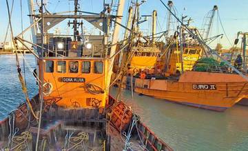 Red Chamber bajo la lupa: denuncian incumplimientos y exigen rescindir su contrato en Chubut