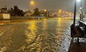 Vecinos exigen reabrir la causa por la Emergencia Climática y apuntan a la Justicia y a exfuncionarios