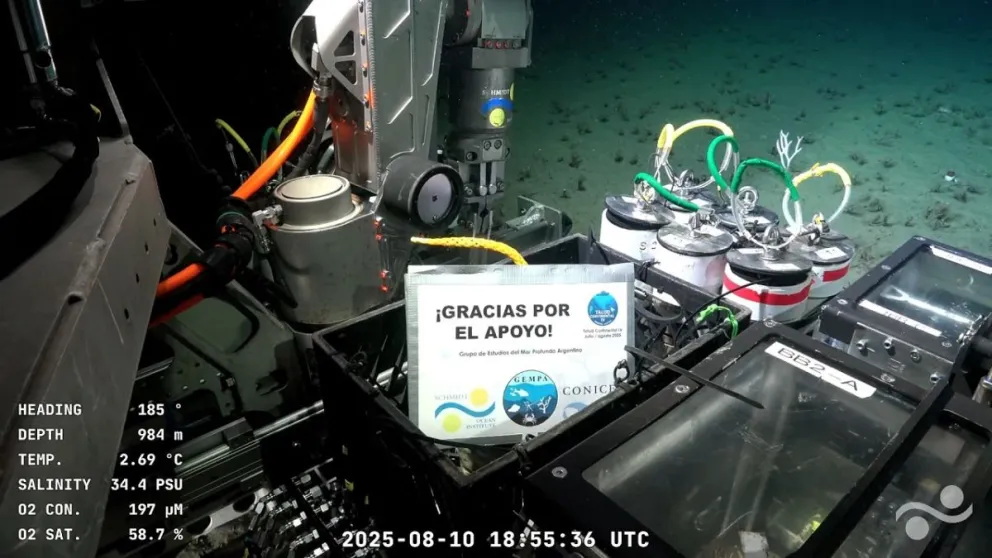 Histórica misión del Conicet en el Mar Argentino: así fue el emotivo cierre del streaming del Cañón Submarino Mar del Plata
