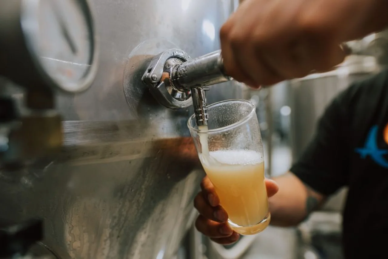 Investigadores del CONICET buscan crear cervezas funcionales que fortalezcan la salud