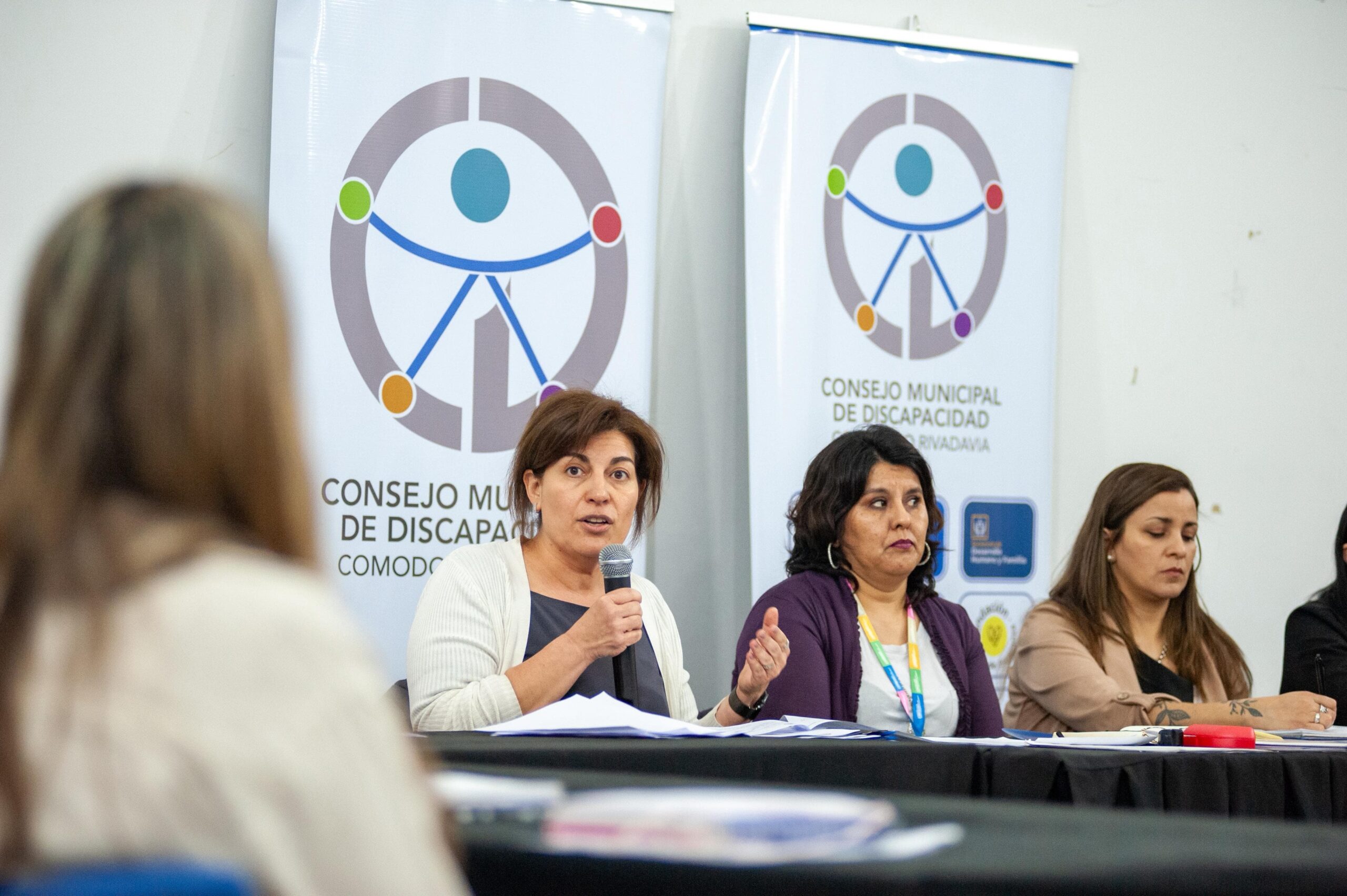Ana Clara Romero participó de la Asamblea del Consejo de Discapacidad