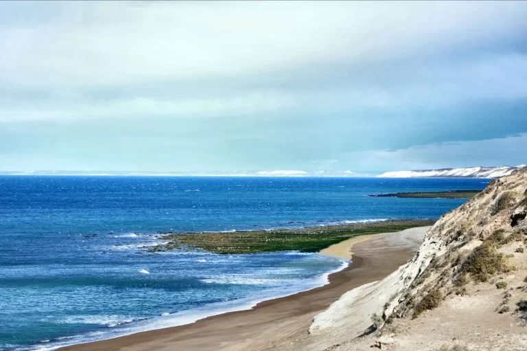 Rastrillaje en Playa Magagna tras el hallazgo del cuerpo de un hombre en la costa de Rawson