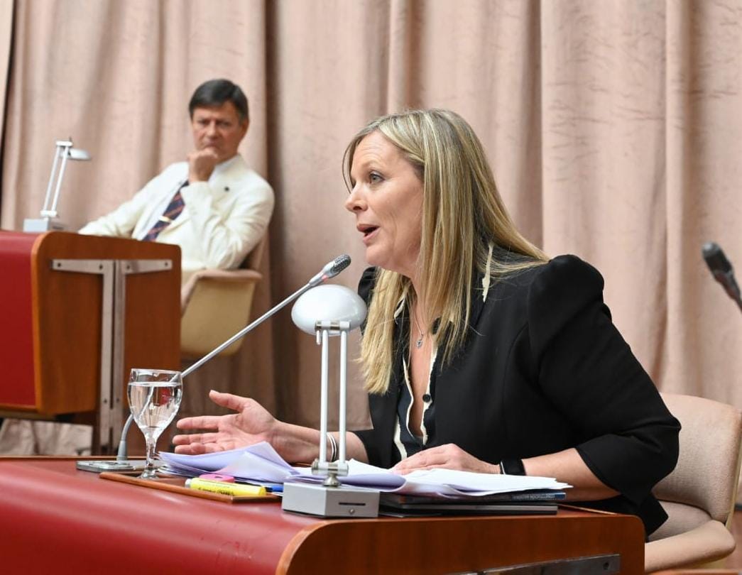 La Legislatura chubutense aprobó unánime repudio frente al alarmante crecimiento de femicidios en Argentina, durante el último mes