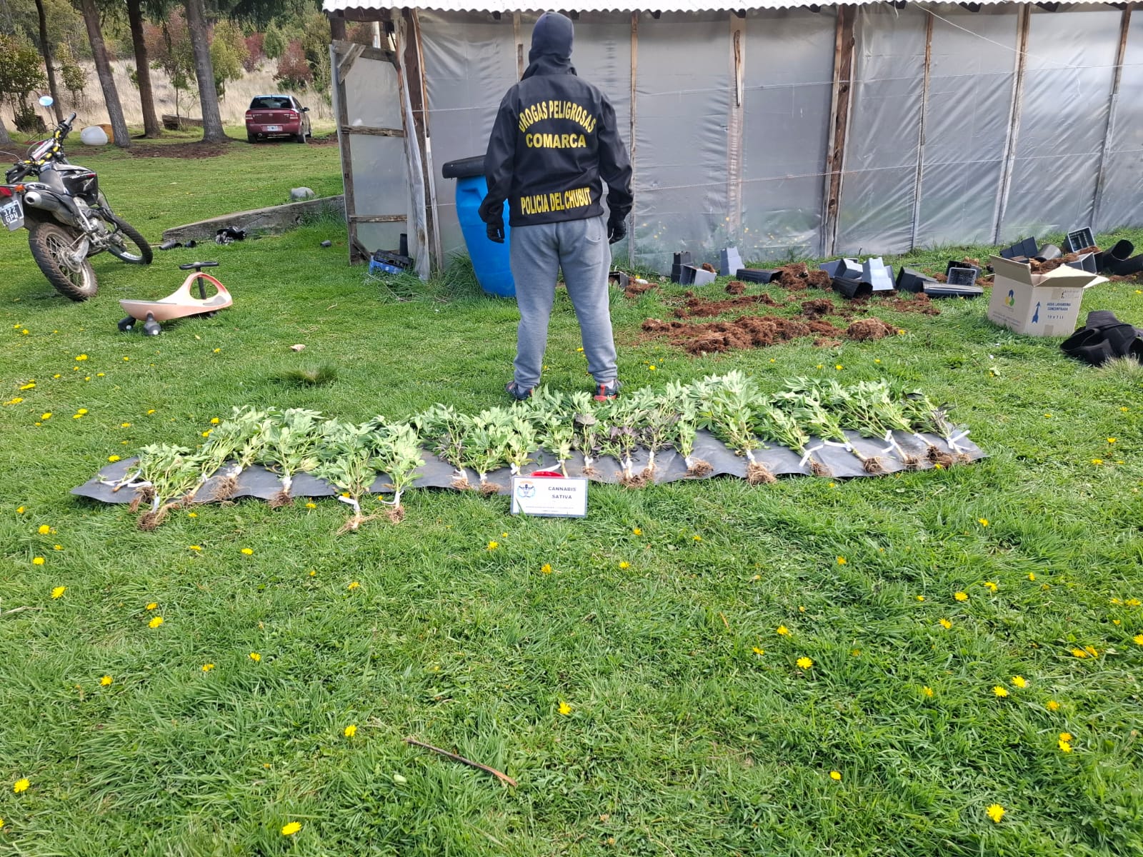 “Sueño Ácido”: desarticulan red de distribución de drogas sintéticas vinculada entre El Bolsón y Comodoro Rivadavia