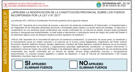 La  elección perdida