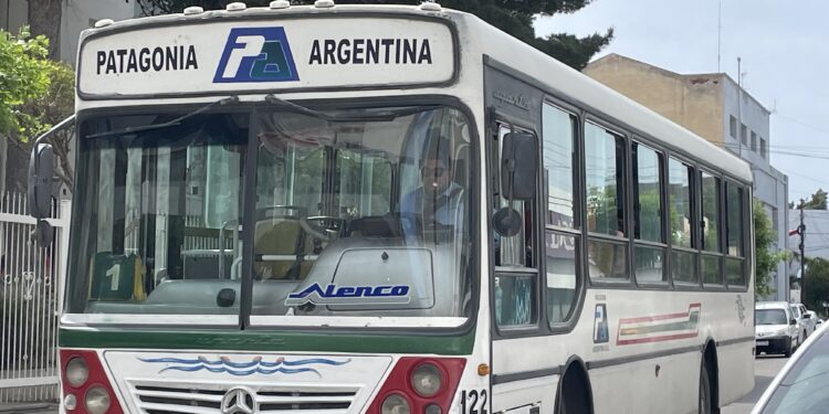 Transporte: el Municipio sigue negociando una nueva prórroga mientras avanza el análisis de la licitación