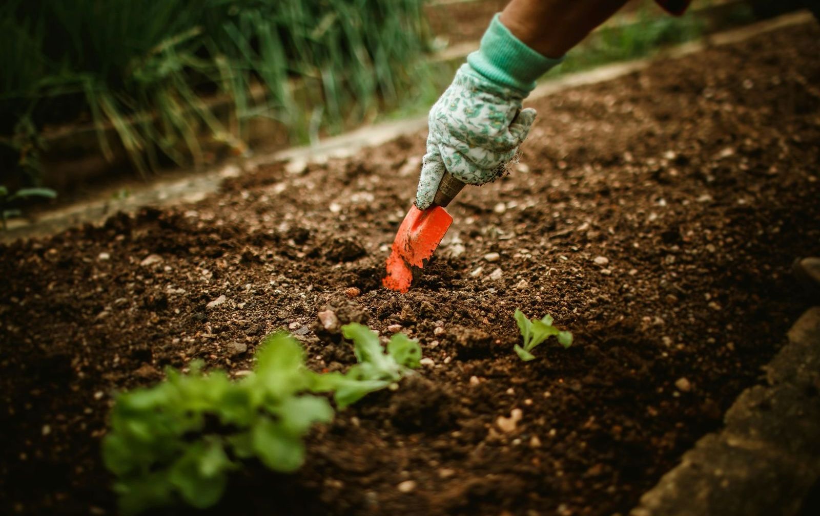 Taller de Huerta Orgánica Biointensiva en Rada Tilly: un espacio para aprender a producir alimentos de manera sustentable y sin agrotóxicos