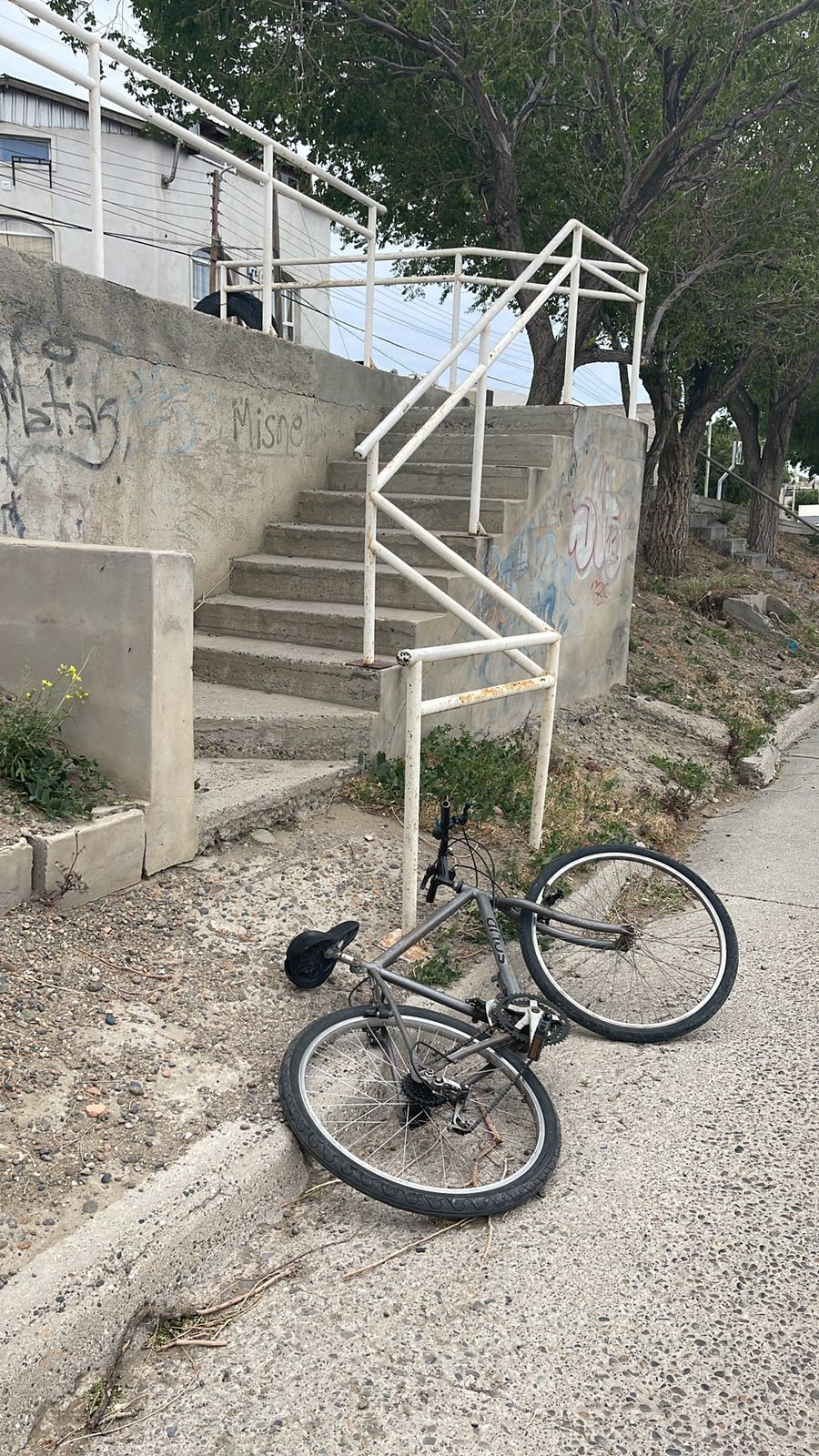 Saltó un portón para robar una bici… y lo corrieron hasta que cayó preso