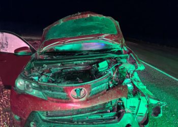 Una Toyota RAV4 chocó contra dos guanacos en Ruta 3