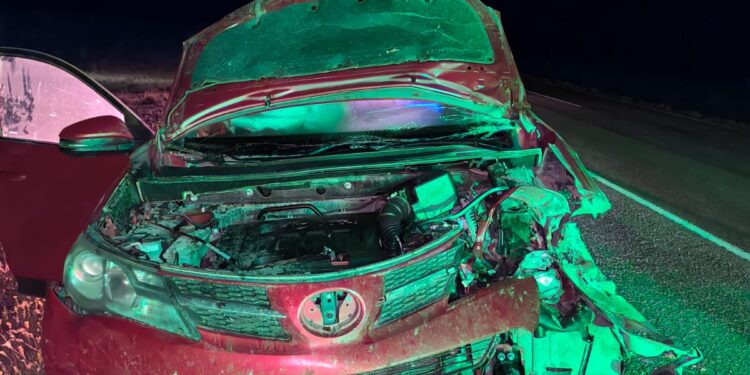 Una Toyota RAV4 chocó contra dos guanacos en Ruta 3