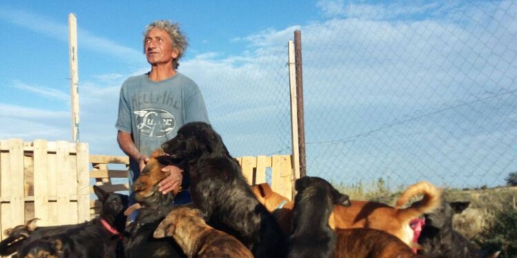 Cuida a 32 perros rescatados en Km 17 y lanzan colecta para juntar para el alimento