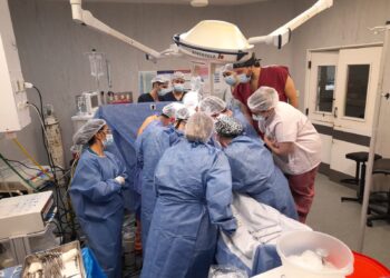 El Hospital Alvear se consolida como referente en donación de órganos y tejidos en Chubut