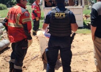 Operativo “Escudo Ecológico”: La Policía del Chubut desarticuló una red de actividad forestal ilegal en la Comarca Andina