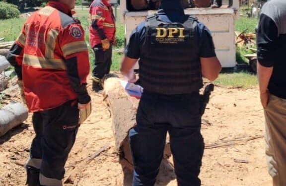 Operativo “Escudo Ecológico”: La Policía del Chubut desarticuló una red de actividad forestal ilegal en la Comarca Andina