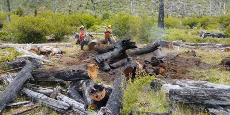 Tras días de arduo operativo, se contuvieron algunos sectores del incendio en El Turbio