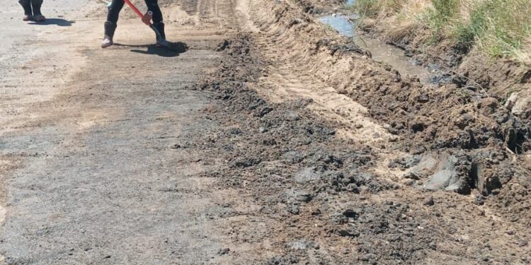 Avanzaron las tareas de limpieza de pluviales y sumideros en barrio Saavedra