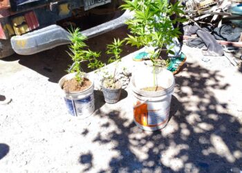 Verano Seguro: La Policía del Chubut realizó allanamientos en Trelew con resultados positivos en armas y drogas