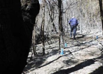 El informe pericial concluyó que el incendio de Epuyén fue intencional