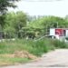 Asesinaron a puñaladas a una mujer y a su hija de 13 años en San Luis