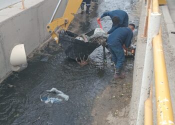 Continúan las tareas de limpieza y mantenimiento en el canal de Avenida Roca