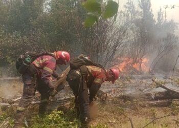 Pese a los esfuerzos, el incendio forestal en El Turbio sigue fuera de control